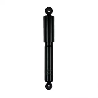 Jeu de 2 amortisseurs arrière GOOM F220G0938