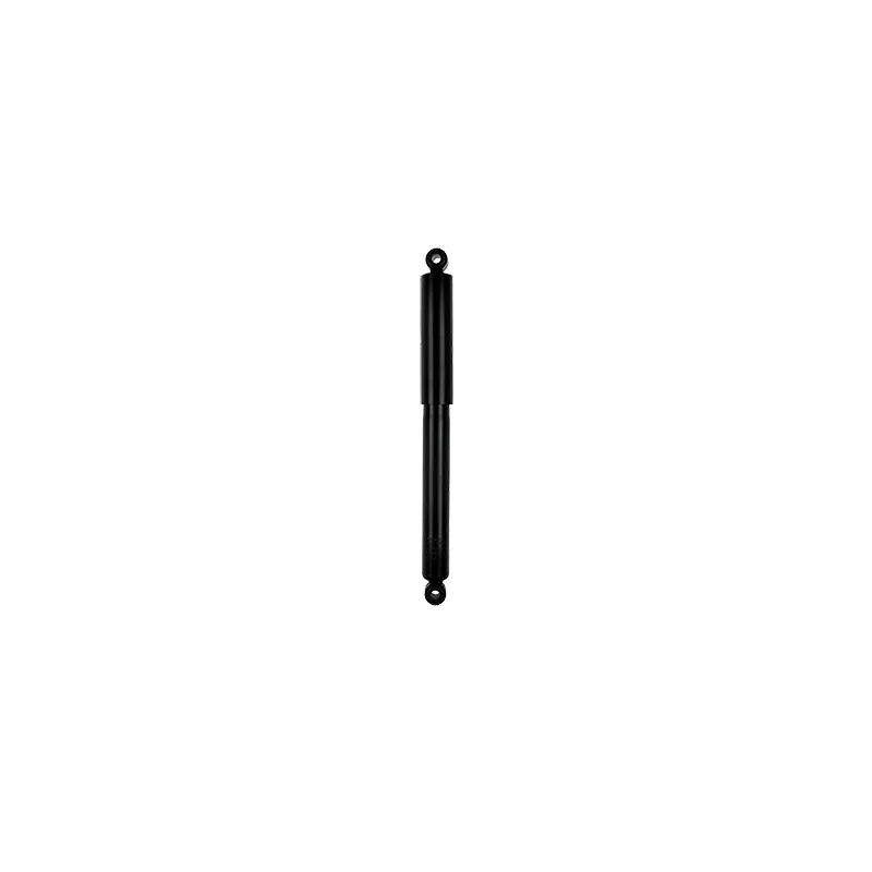 Jeu de 2 amortisseurs arrière GOOM F220G0957