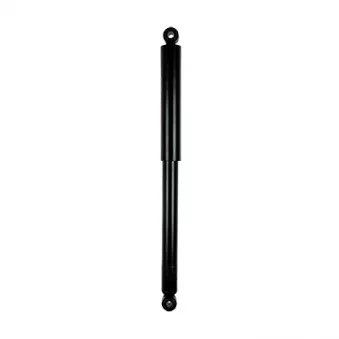 Jeu de 2 amortisseurs arrière GOOM F220G0969