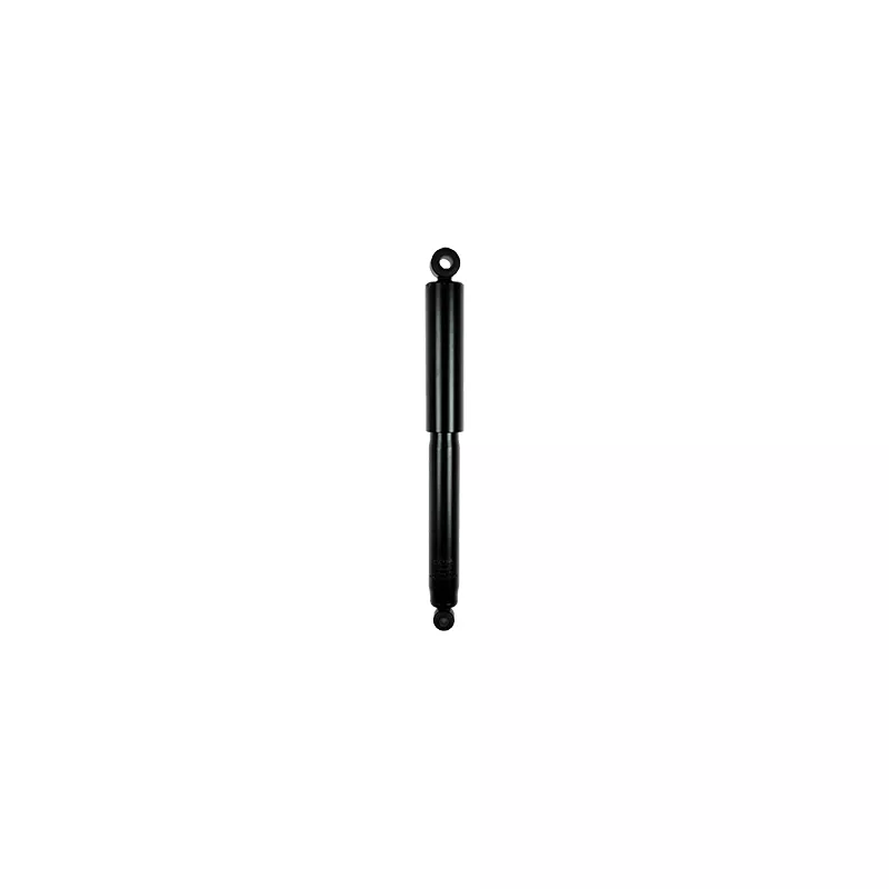 Jeu de 2 amortisseurs arrière GOOM F220G0976