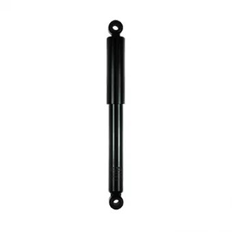 Jeu de 2 amortisseurs arrière GOOM F220G1014