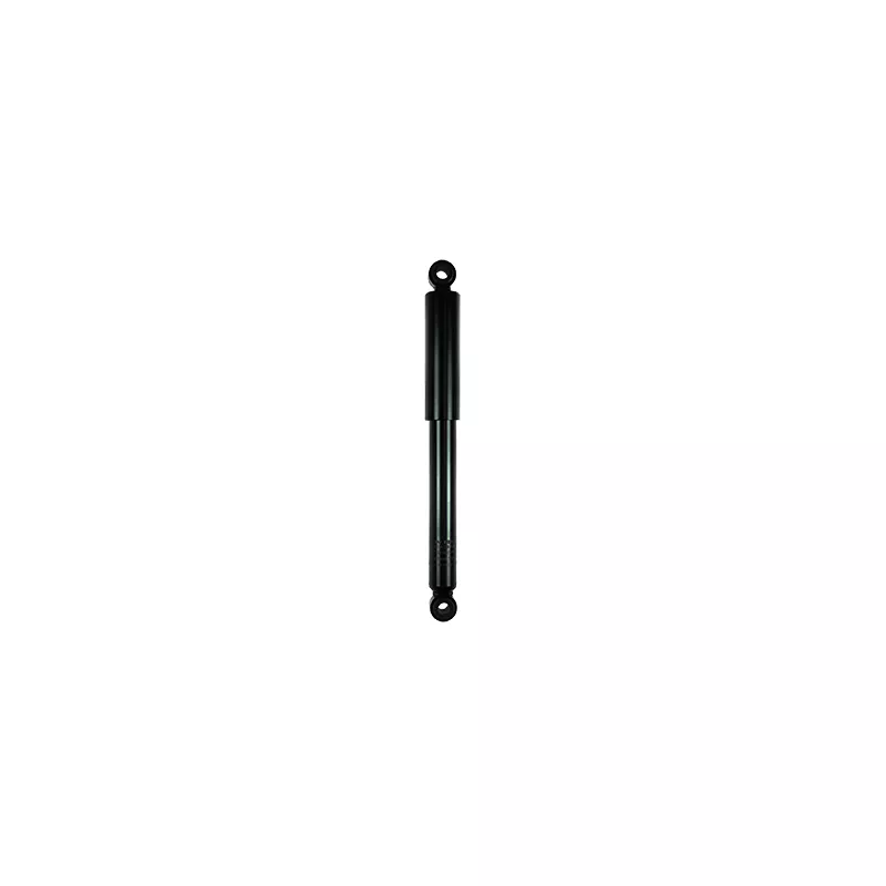 Jeu de 2 amortisseurs arrière GOOM F220G1014