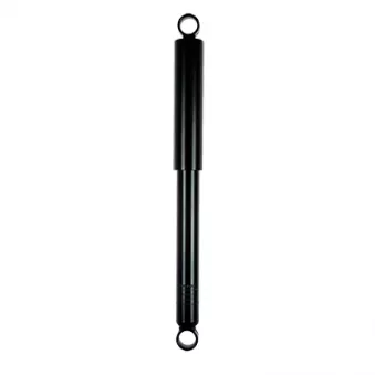 Jeu de 2 amortisseurs arrière GOOM F220G1016