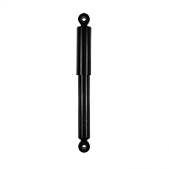 Jeu de 2 amortisseurs arrière GOOM F220G1021