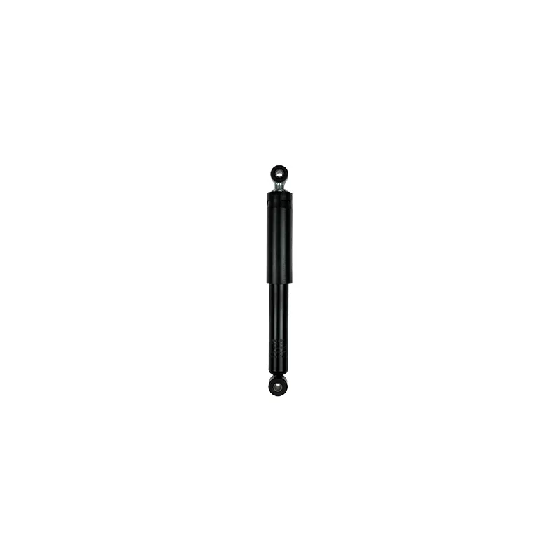 Jeu de 2 amortisseurs arrière GOOM F220G1022
