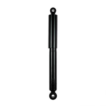 Jeu de 2 amortisseurs arrière GOOM F220G1024