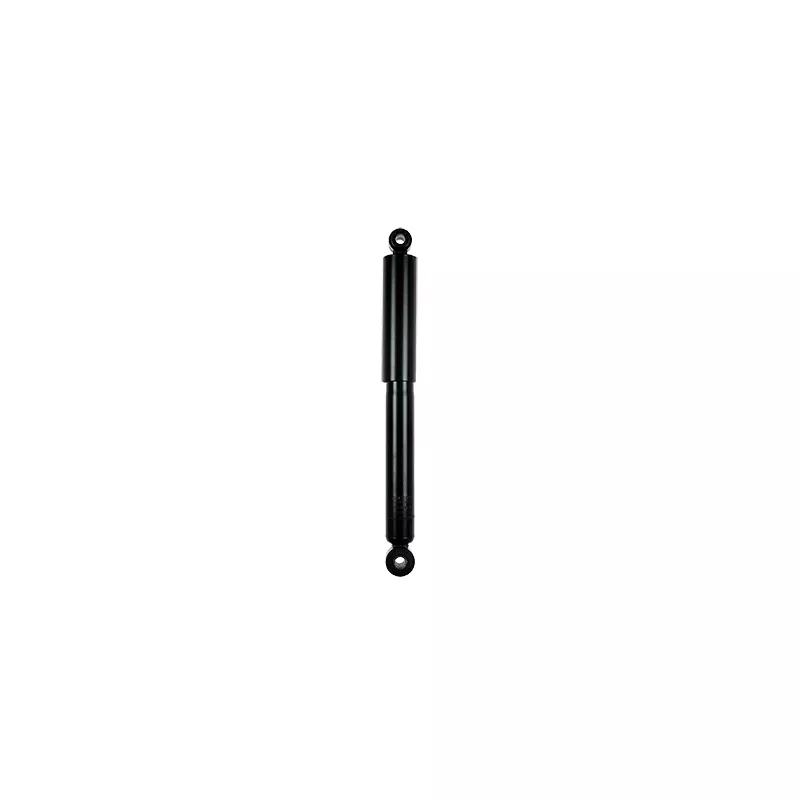 Jeu de 2 amortisseurs arrière GOOM F220G1024