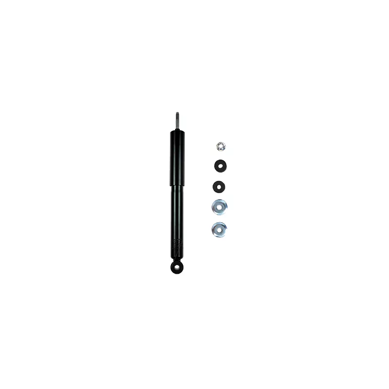 Jeu de 2 amortisseurs arrière GOOM F220G1028