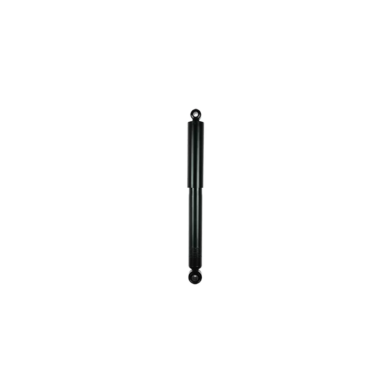 Jeu de 2 amortisseurs arrière GOOM F220G1031