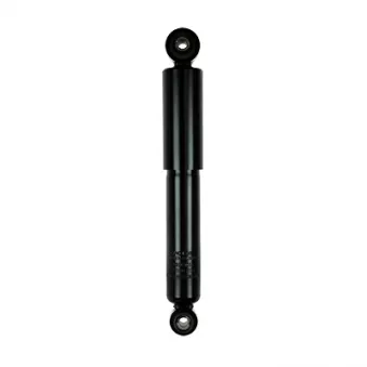 Jeu de 2 amortisseurs arrière GOOM F220G1033