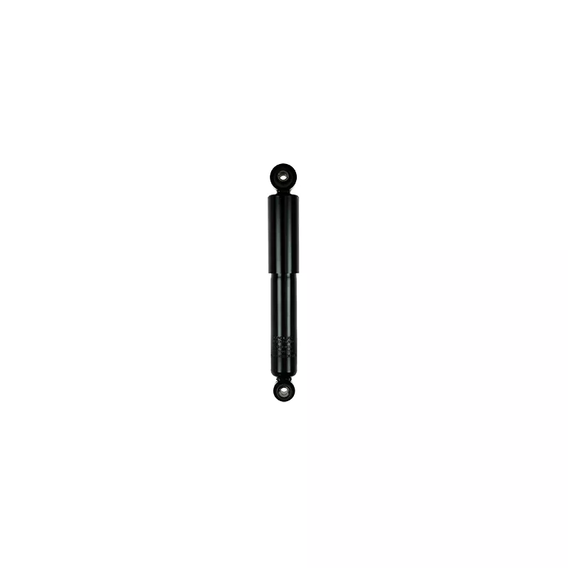 Jeu de 2 amortisseurs arrière GOOM F220G1033