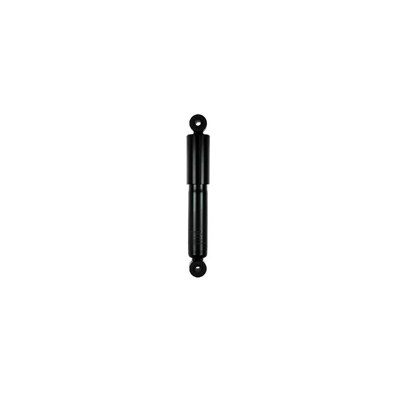 Jeu de 2 amortisseurs arrière GOOM F220G1035