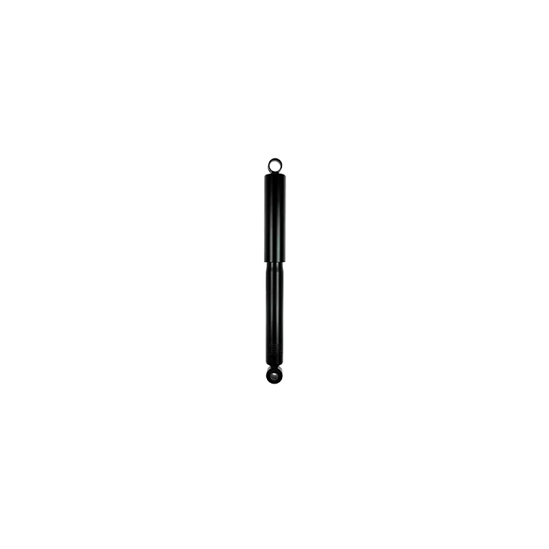 Jeu de 2 amortisseurs arrière GOOM F220G1036