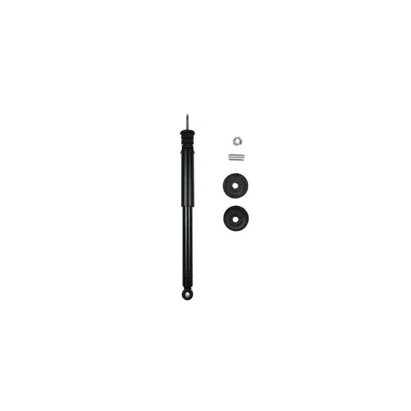 Jeu de 2 amortisseurs arrière GOOM F220G1038
