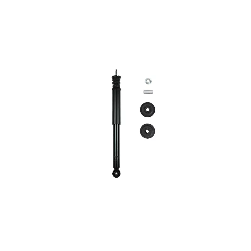 Jeu de 2 amortisseurs arrière GOOM F220G1046