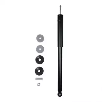 Jeu de 2 amortisseurs arrière GOOM F220G1048