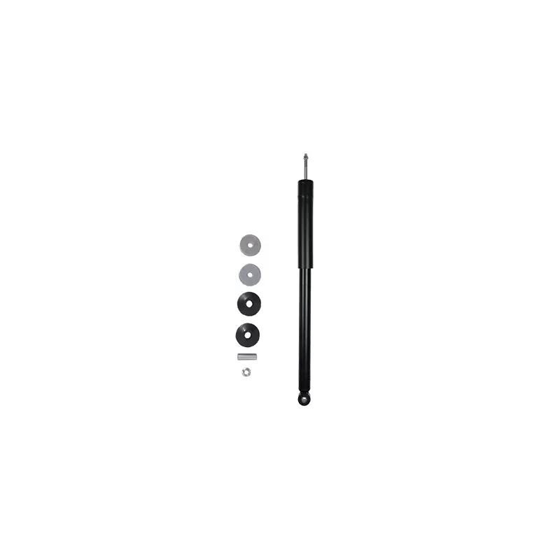 Jeu de 2 amortisseurs arrière GOOM F220G1048