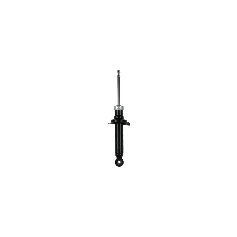 Jeu de 2 amortisseurs arrière GOOM F220G1049