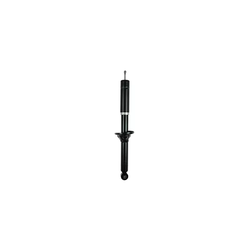 Jeu de 2 amortisseurs arrière GOOM F220G1050