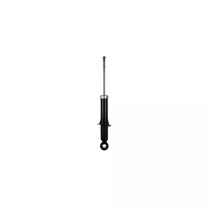 Jeu de 2 amortisseurs arrière GOOM F220G1052