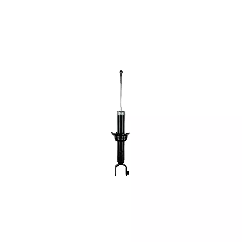 Jeu de 2 amortisseurs arrière GOOM F220G1057