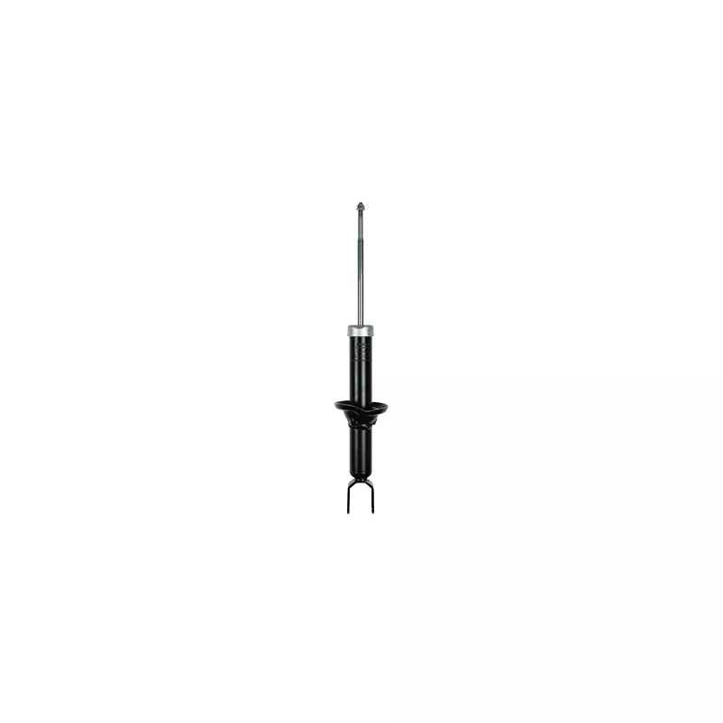 Jeu de 2 amortisseurs arrière GOOM F220G1058