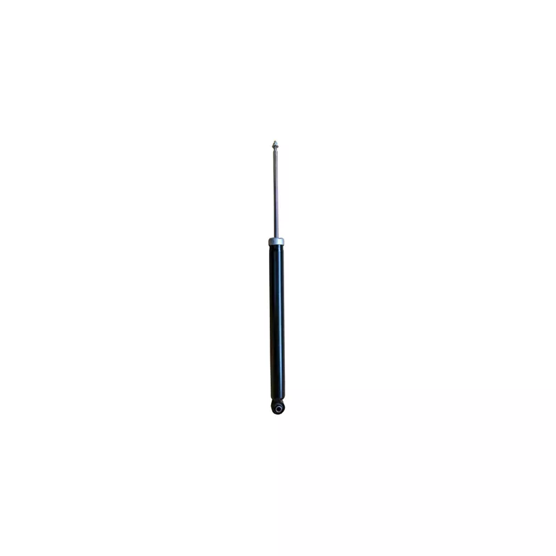Jeu de 2 amortisseurs arrière GOOM F220G1151