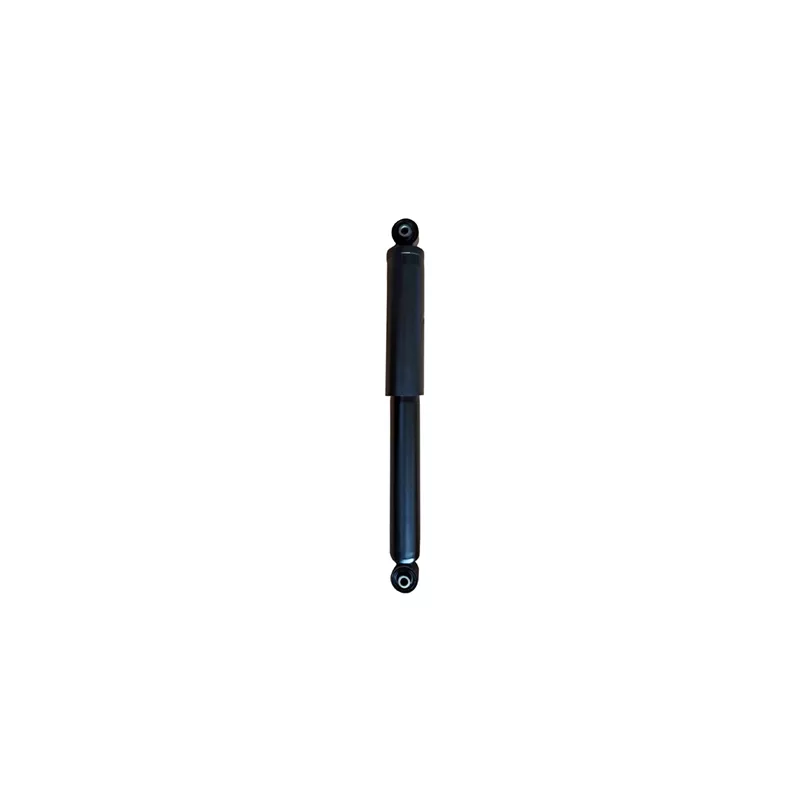 Jeu de 2 amortisseurs arrière GOOM F220G1159