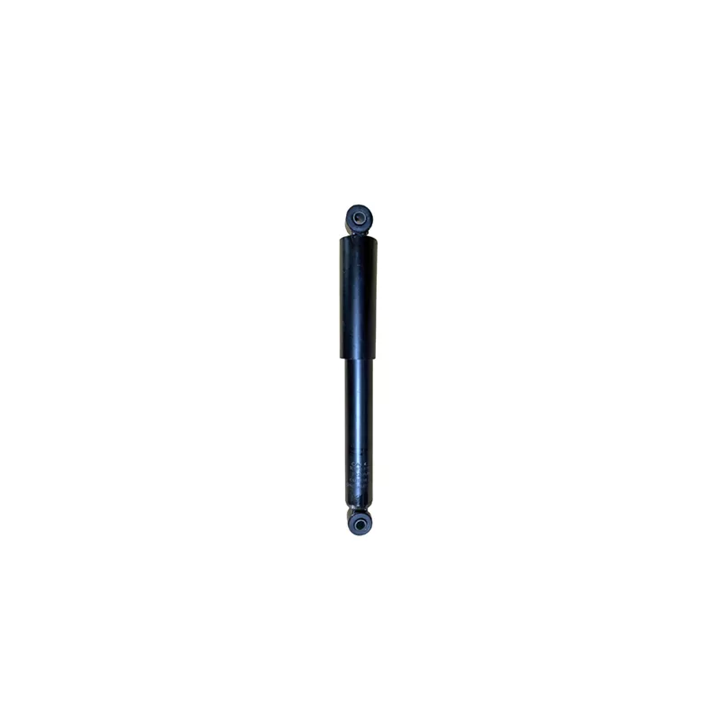 Jeu de 2 amortisseurs arrière GOOM F220G1171