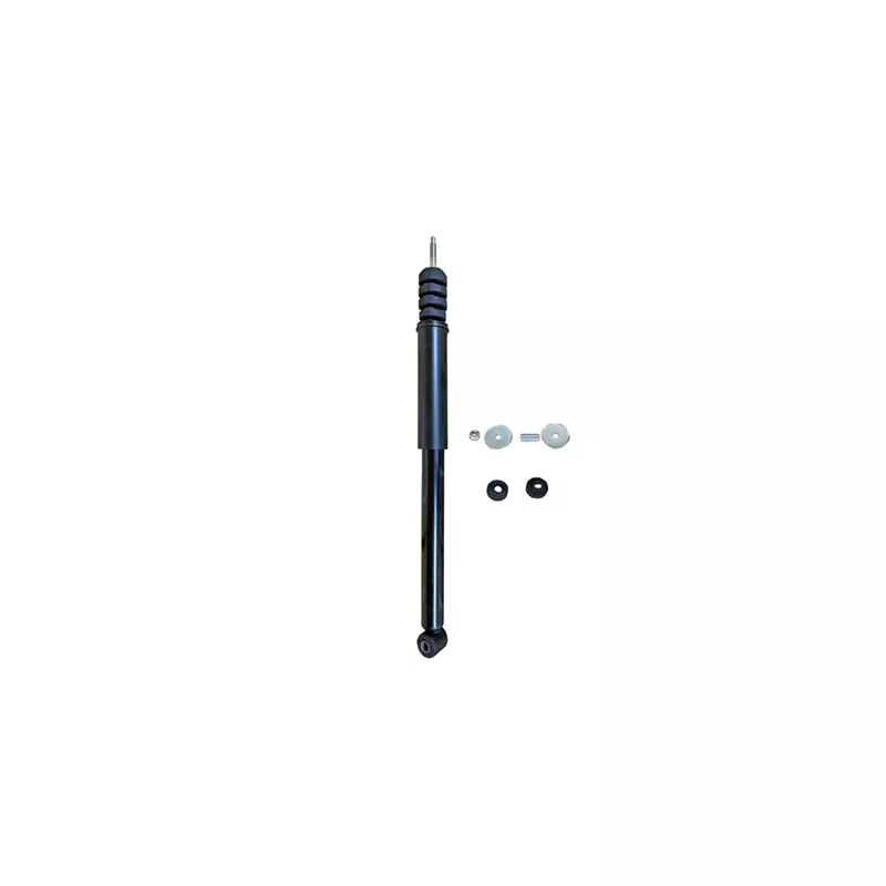 Jeu de 2 amortisseurs arrière GOOM F220G1181