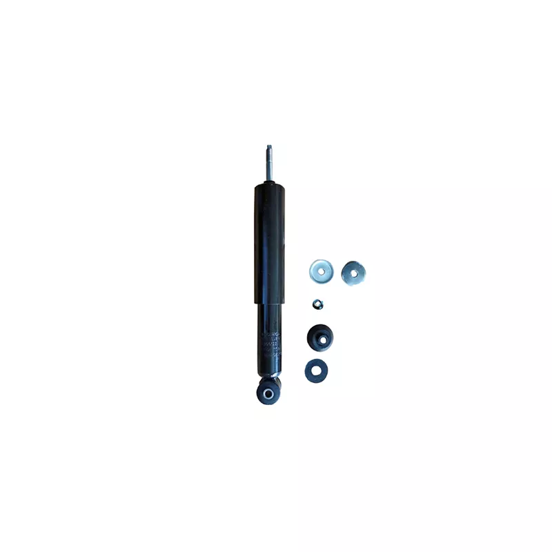 Jeu de 2 amortisseurs arrière GOOM F220G1234