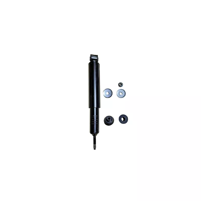 Jeu de 2 amortisseurs arrière GOOM F220G1238