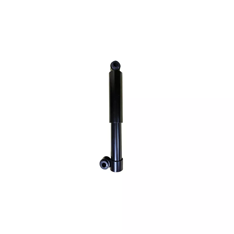 Jeu de 2 amortisseurs arrière GOOM F220G1239
