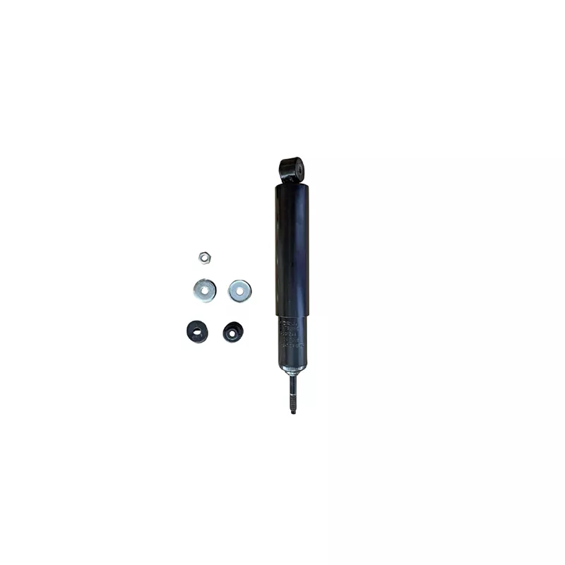 Jeu de 2 amortisseurs arrière GOOM F220G1244