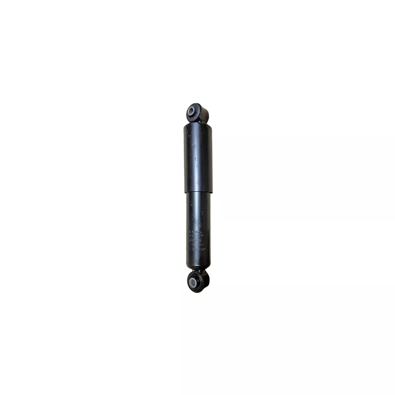 Jeu de 2 amortisseurs arrière GOOM F220G1246