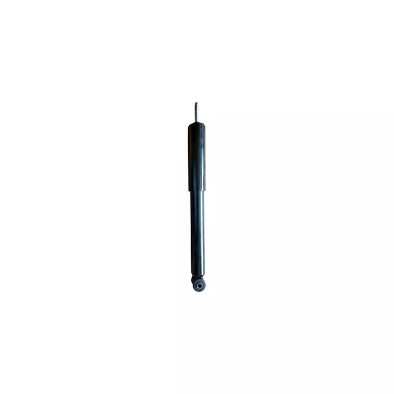 Jeu de 2 amortisseurs arrière GOOM F220G1250