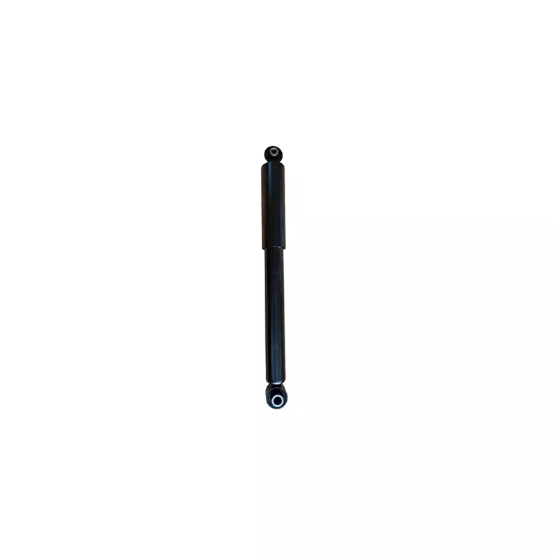 Jeu de 2 amortisseurs arrière GOOM F220G1255