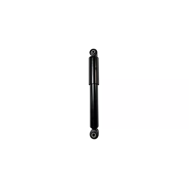Jeu de 2 amortisseurs arrière GOOM F220G1256