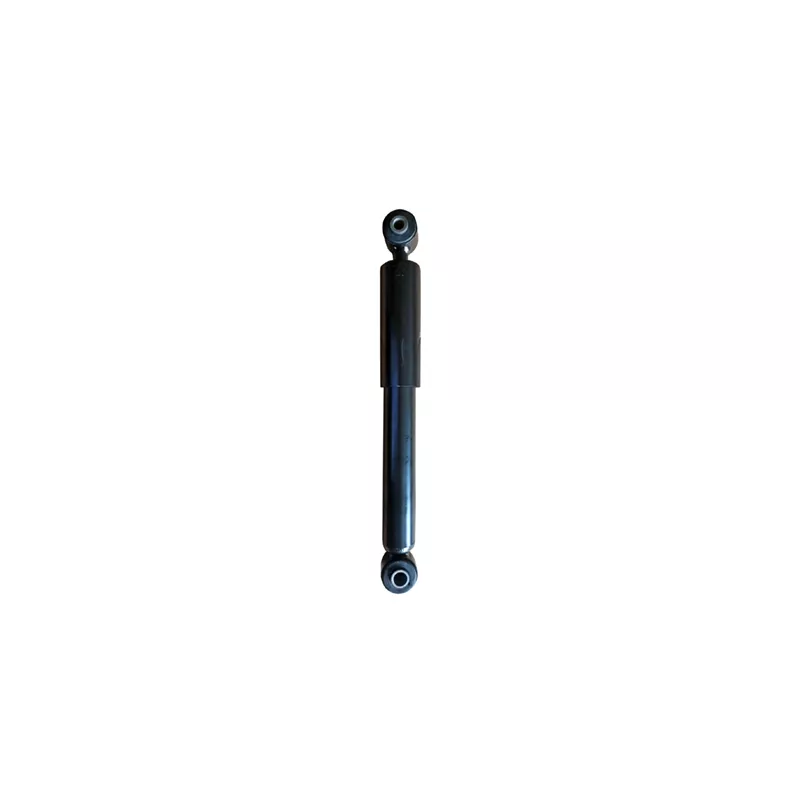 Jeu de 2 amortisseurs arrière GOOM F220G1258