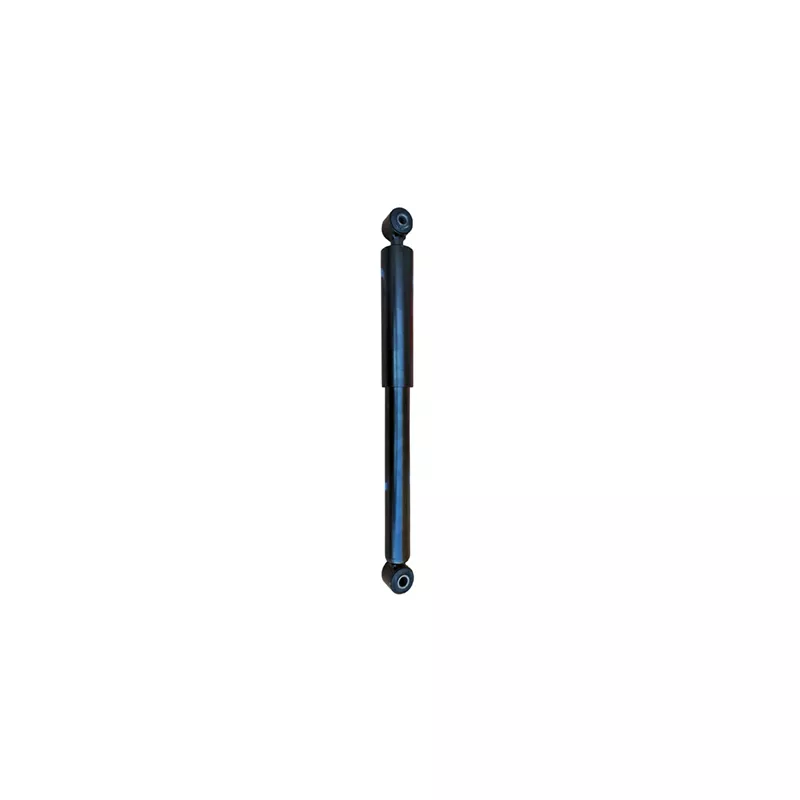 Jeu de 2 amortisseurs arrière GOOM F220G1259
