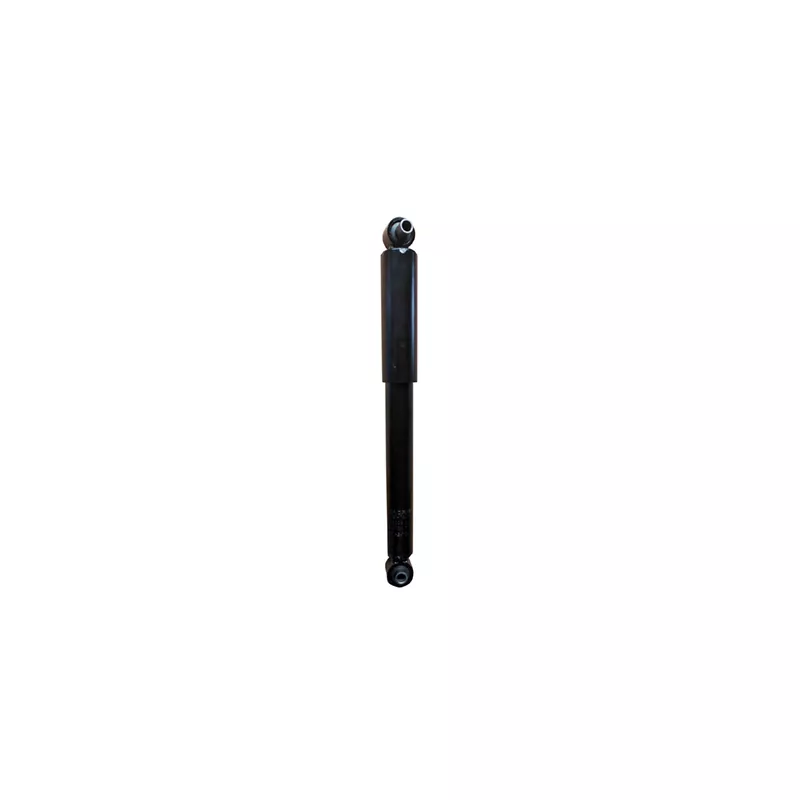 Jeu de 2 amortisseurs arrière GOOM F220G1261