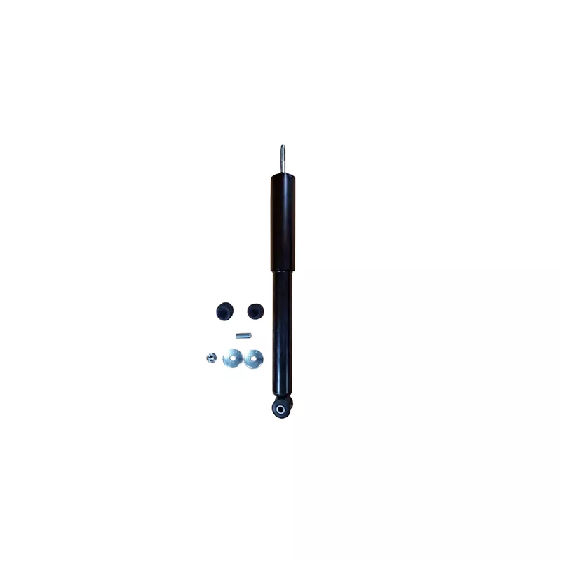 Jeu de 2 amortisseurs arrière GOOM F220G1262