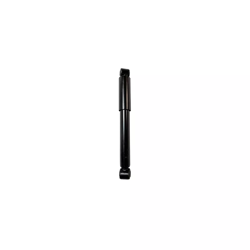Jeu de 2 amortisseurs arrière GOOM F220G1264