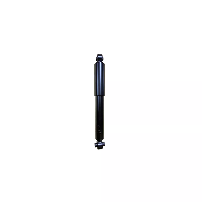 Jeu de 2 amortisseurs arrière GOOM F220G1265