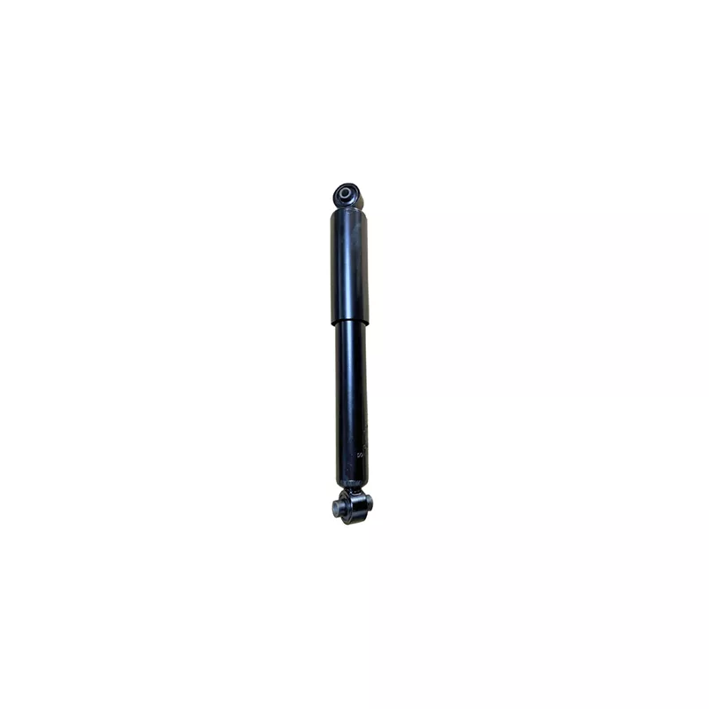 Jeu de 2 amortisseurs arrière GOOM F220G1266