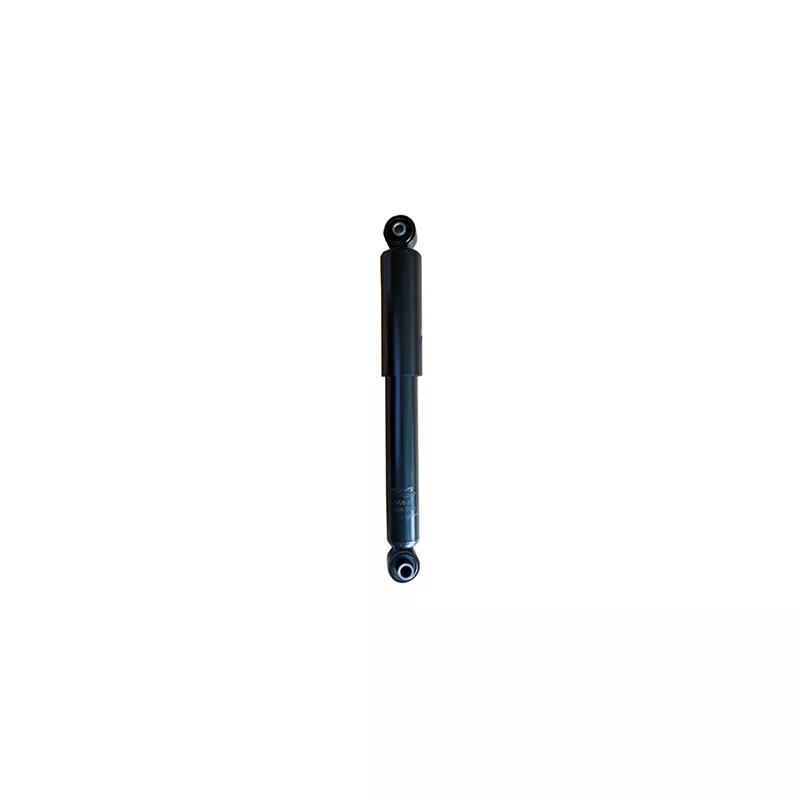 Jeu de 2 amortisseurs arrière GOOM F220G1267