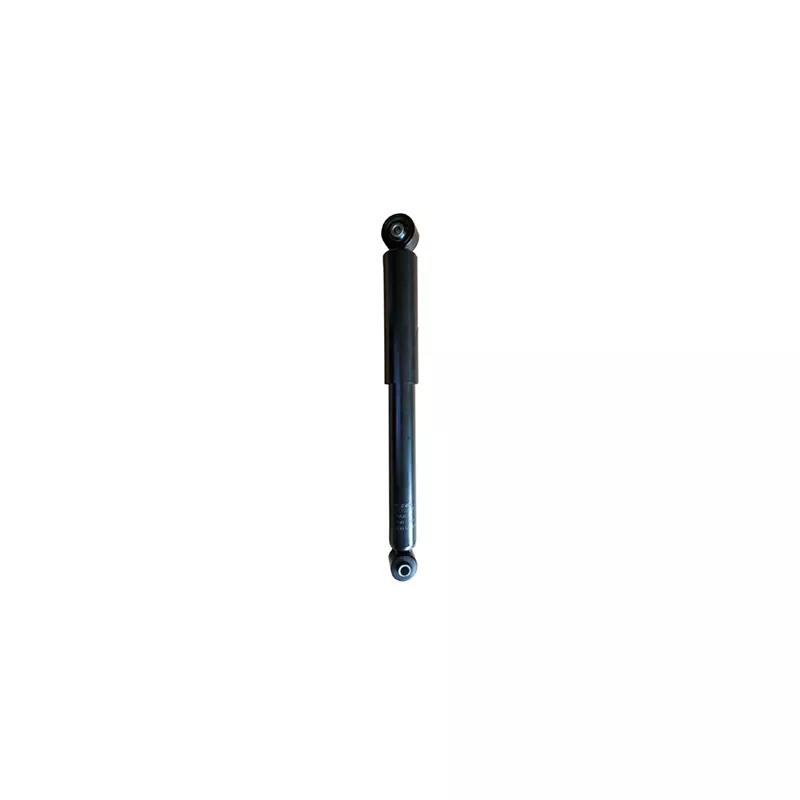 Jeu de 2 amortisseurs arrière GOOM F220G1272