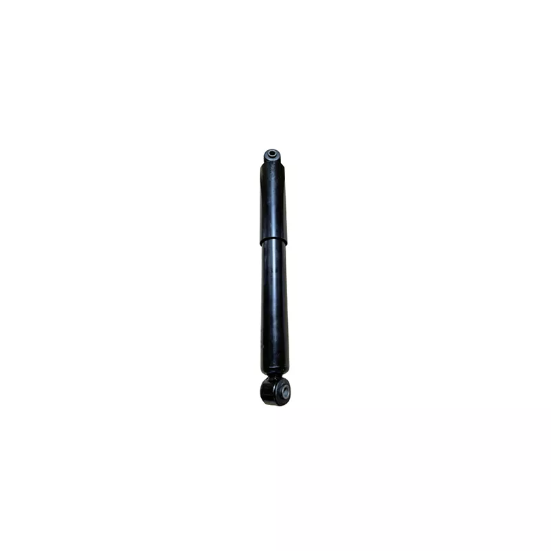 Jeu de 2 amortisseurs arrière GOOM F220G1273