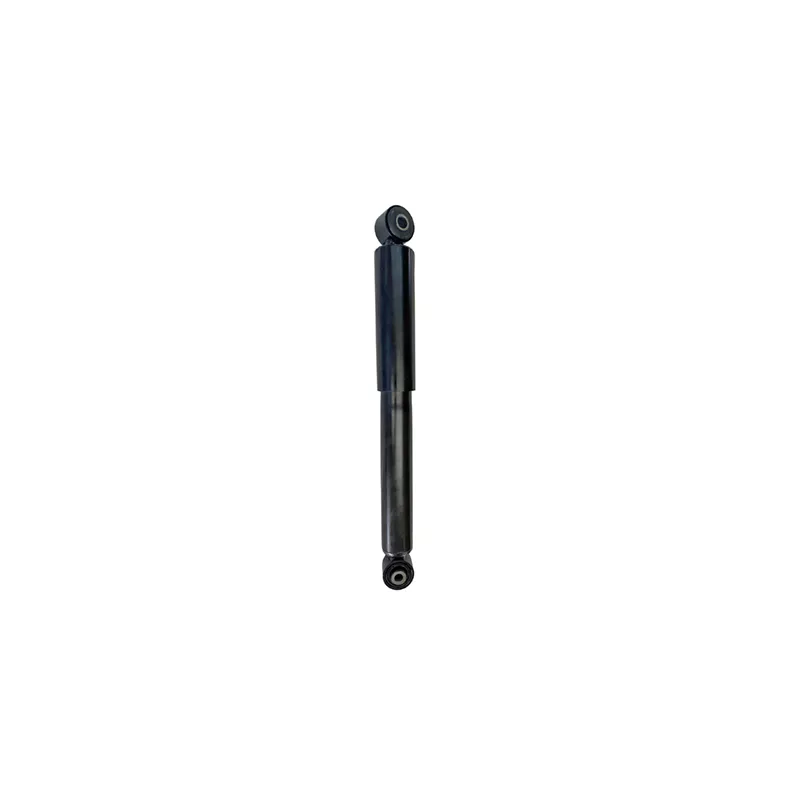 Jeu de 2 amortisseurs arrière GOOM F220G1286