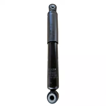 Jeu de 2 amortisseurs arrière GOOM F220G1287